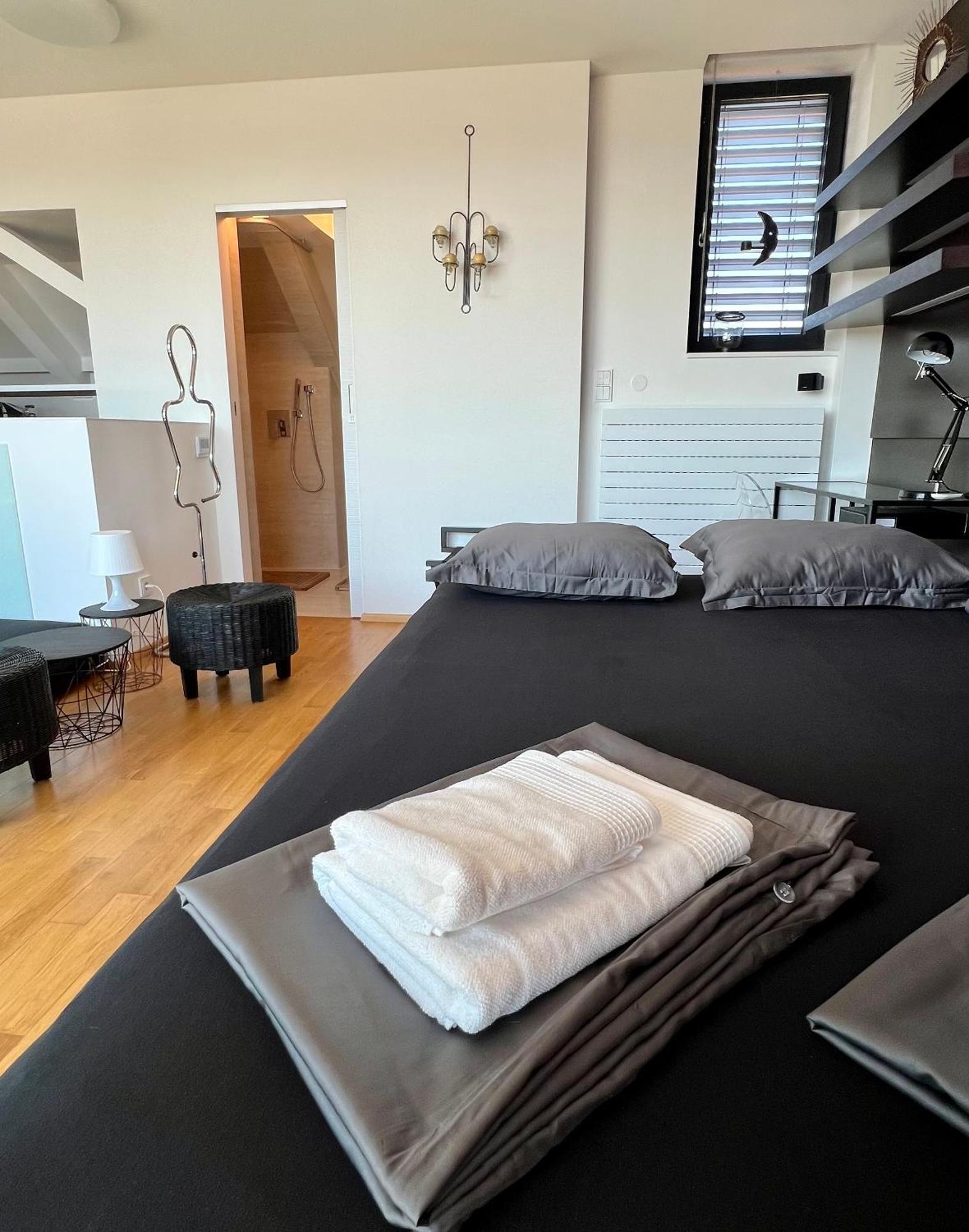Apartman Se Saunou A Terasou S Vyhledem Na 브르노 외부 사진